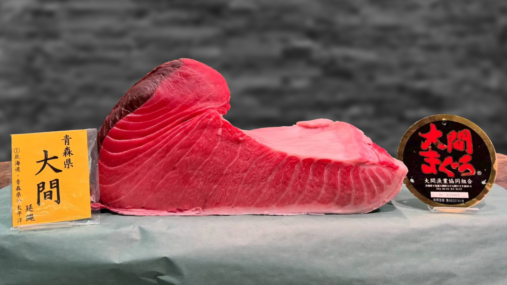 Premium Japanese hon maguro or kihada maguro prepared for the private cutting ceremony